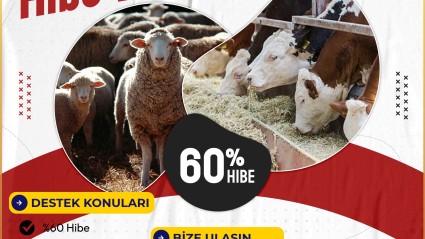 TKDK Küçükbaş Destek Projesi Başlıyor