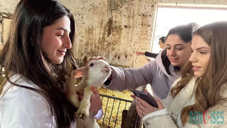 BAÜN Fakültesi Veterinerlik Öğrencileri: Yetiştirme Çiftliğinde Pratik Kazanıyor.