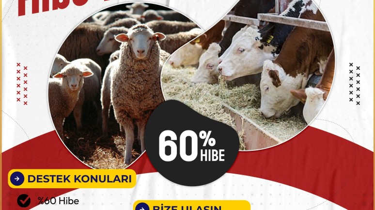 TKDK Küçükbaş Destek Projesi Başlıyor