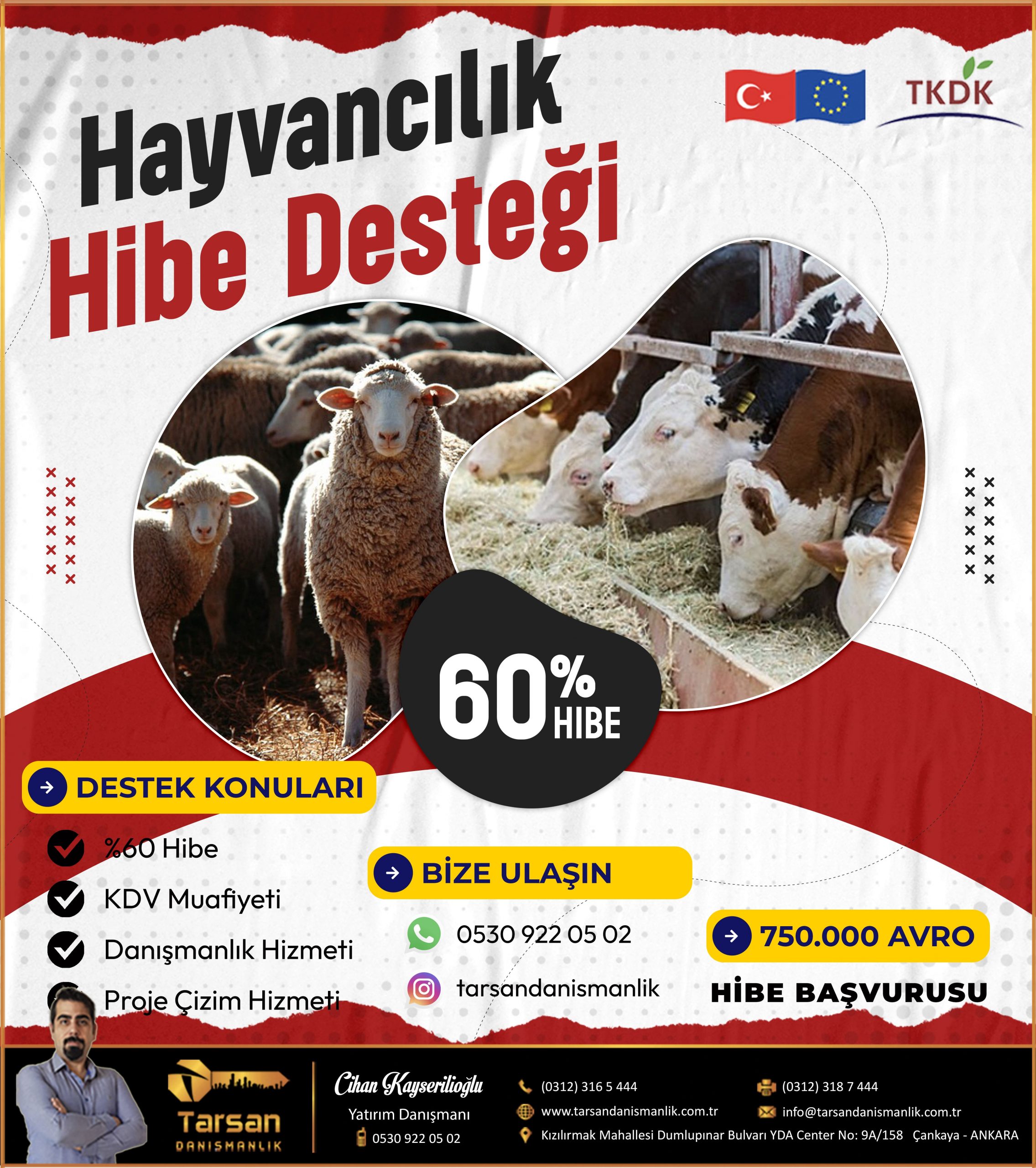 TKDK Küçükbaş Destek Projesi Başlıyor